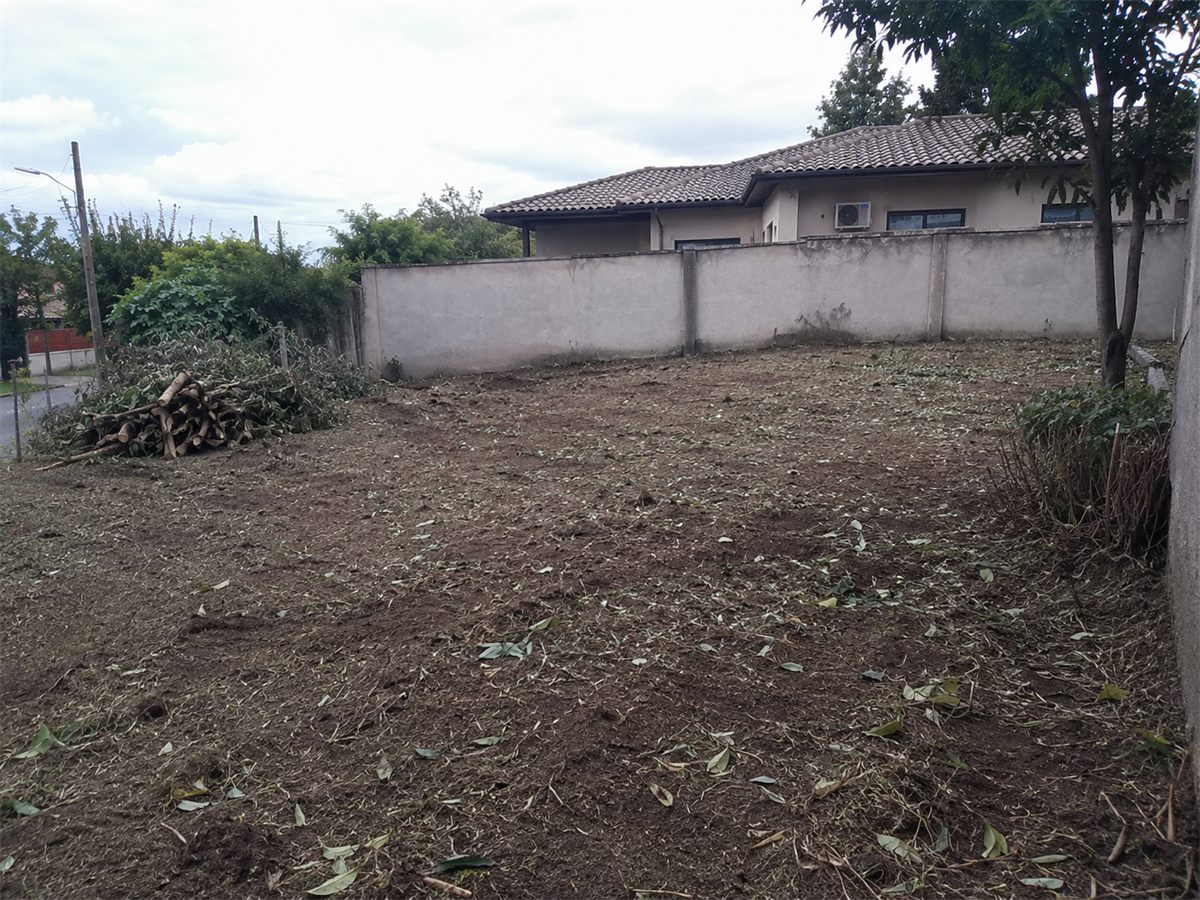 Terreno limpo